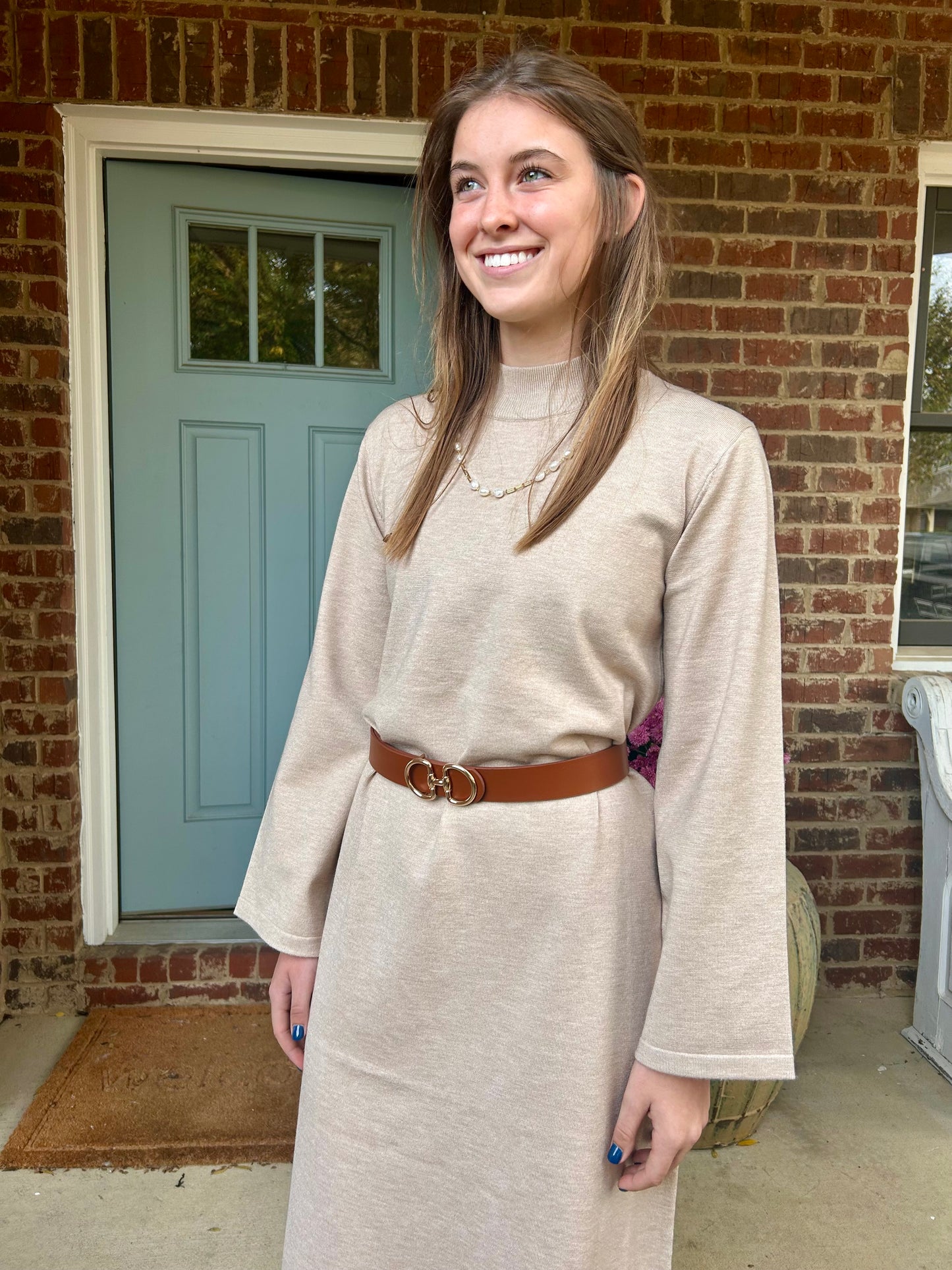 Oatmeal Turtleneck Sweater Dress