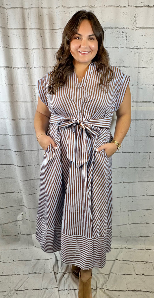 Brown & Bold Stripe Dress