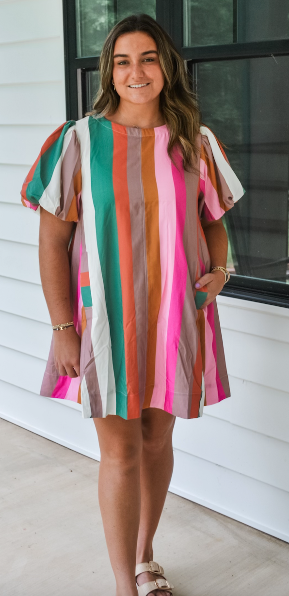 Multi Color Striped Swing Dress